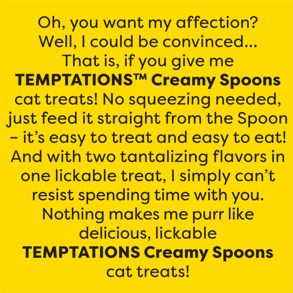 Creamy Spoons Tasty Chicken And Cheesy Cheese Flavour