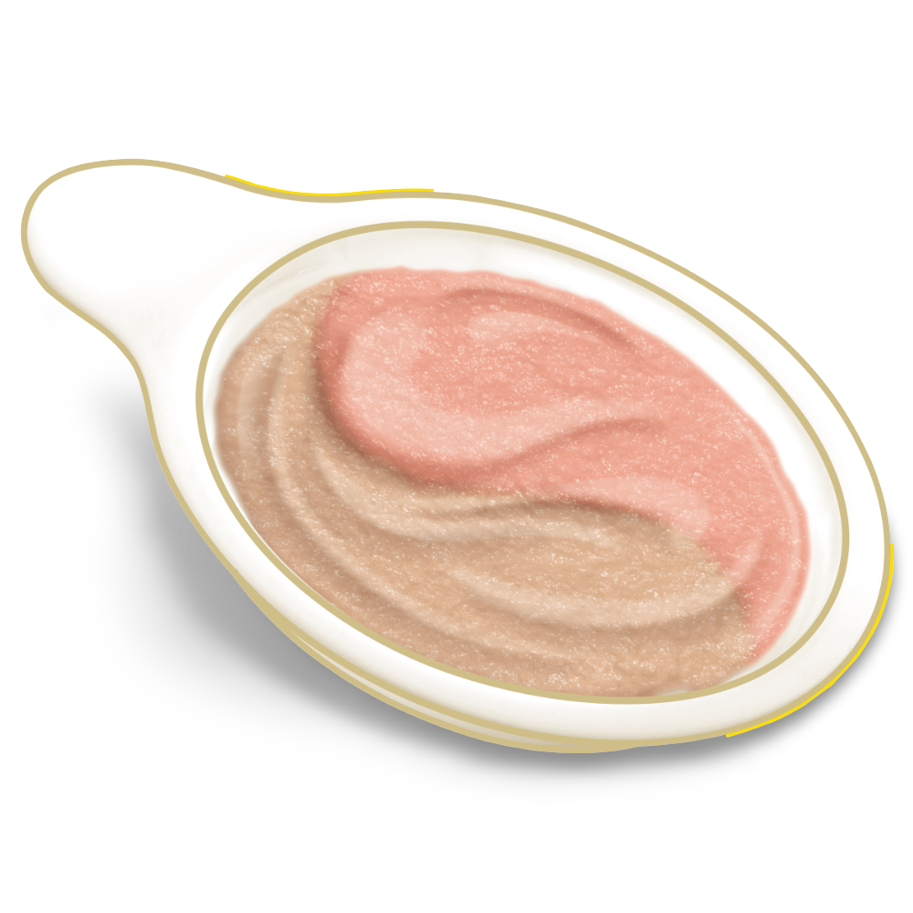 Creamy Spoons Tasty Chicken And Savoury Salmon Flavour