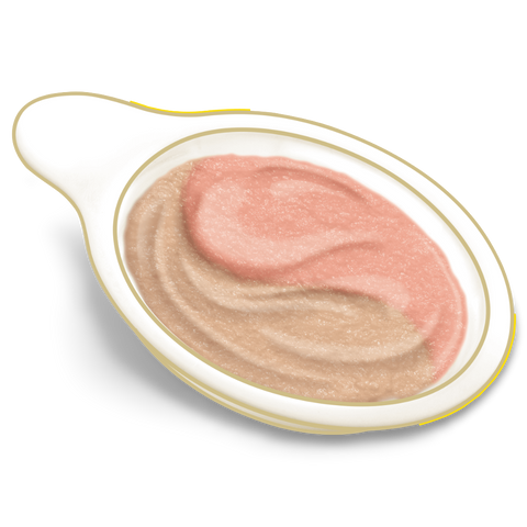 Creamy Spoons Tasty Chicken And Savoury Salmon Flavour