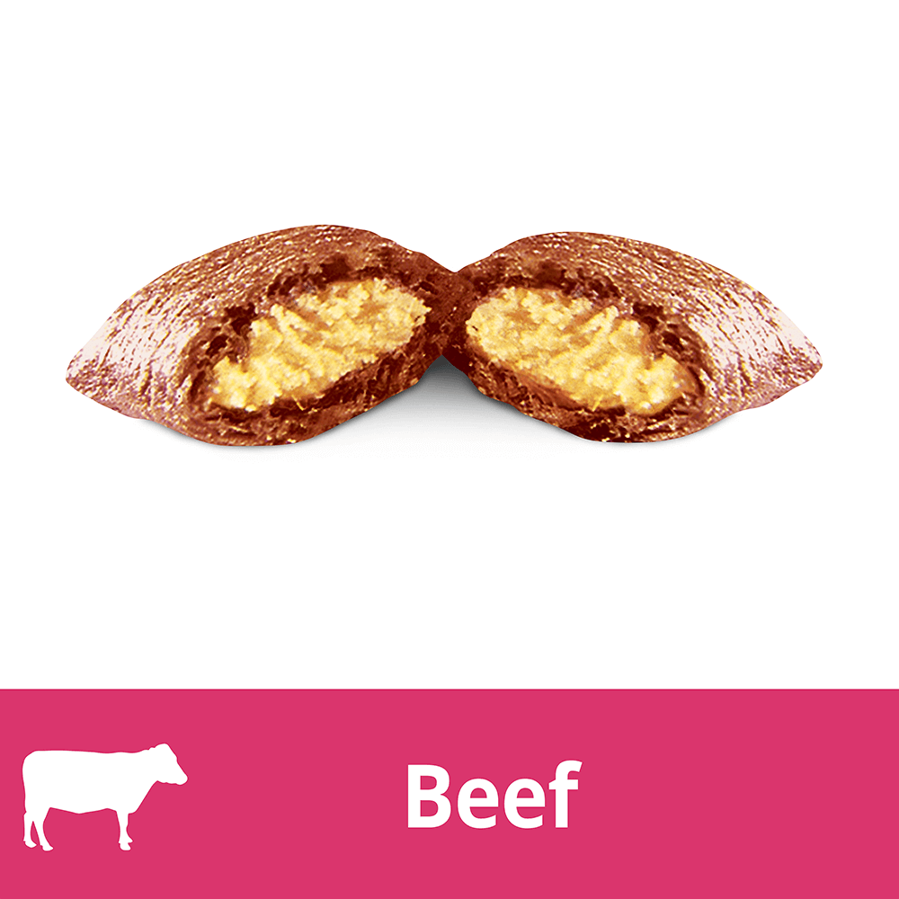 Hearty Beef Cat Treats