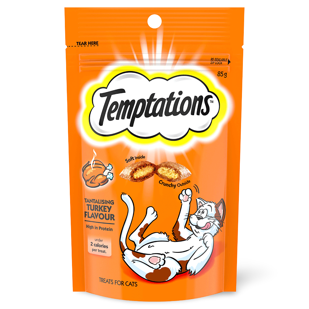 Tantalising Turkey Cat Treats