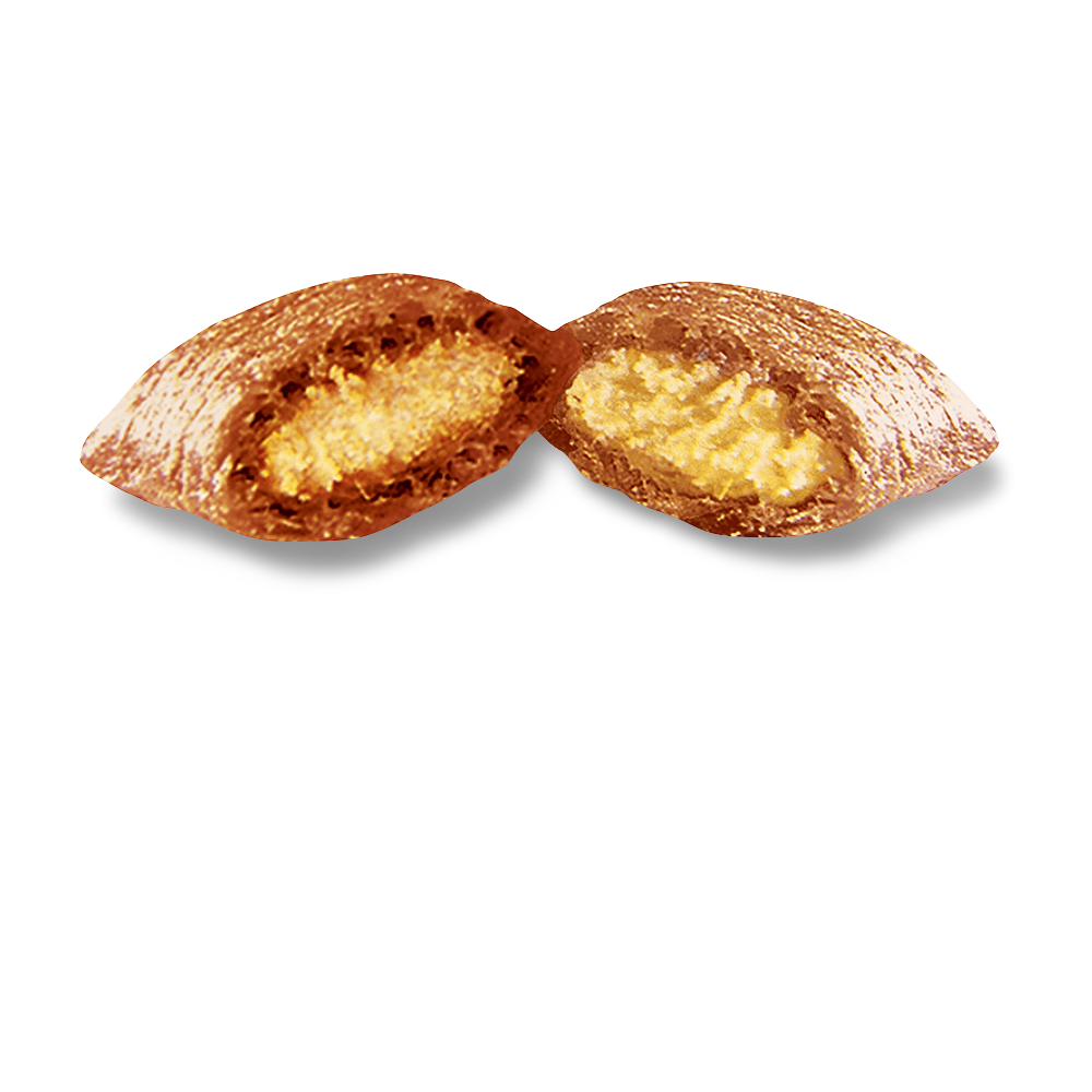 Tantalising Turkey Cat Treats