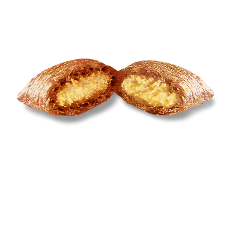 Tantalising Turkey Cat Treats