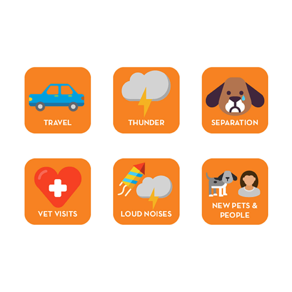 Calming Chews For Dogs