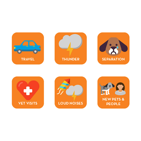 Calming Chews For Dogs