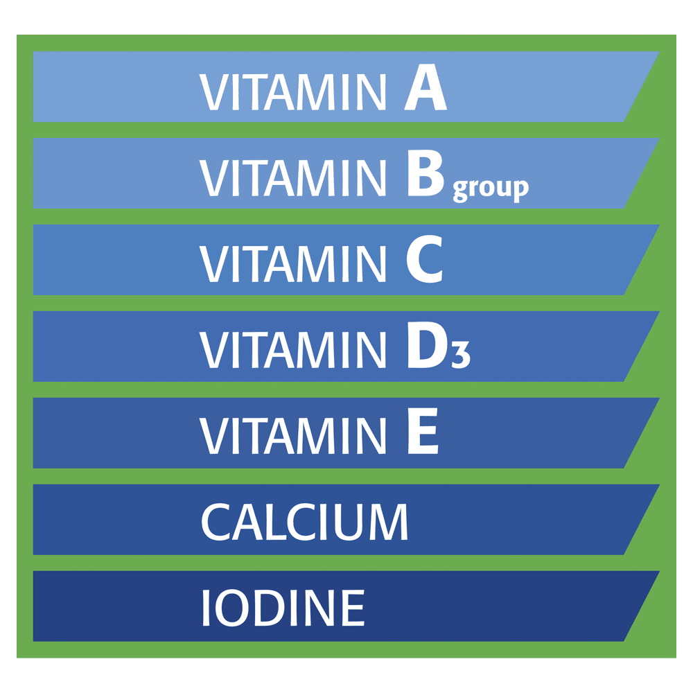 Honeystick For Budgies