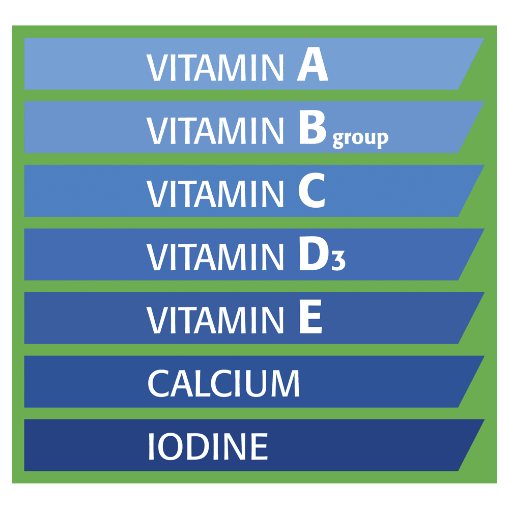 Honeystick For Cockatiels