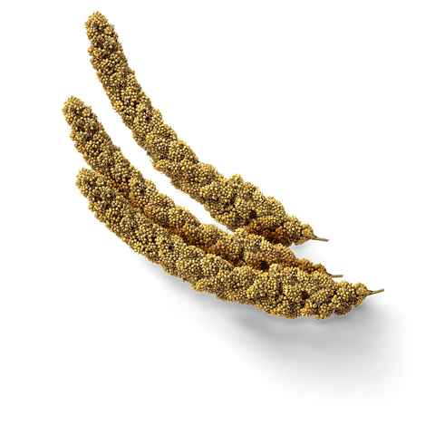 Millet Sprays