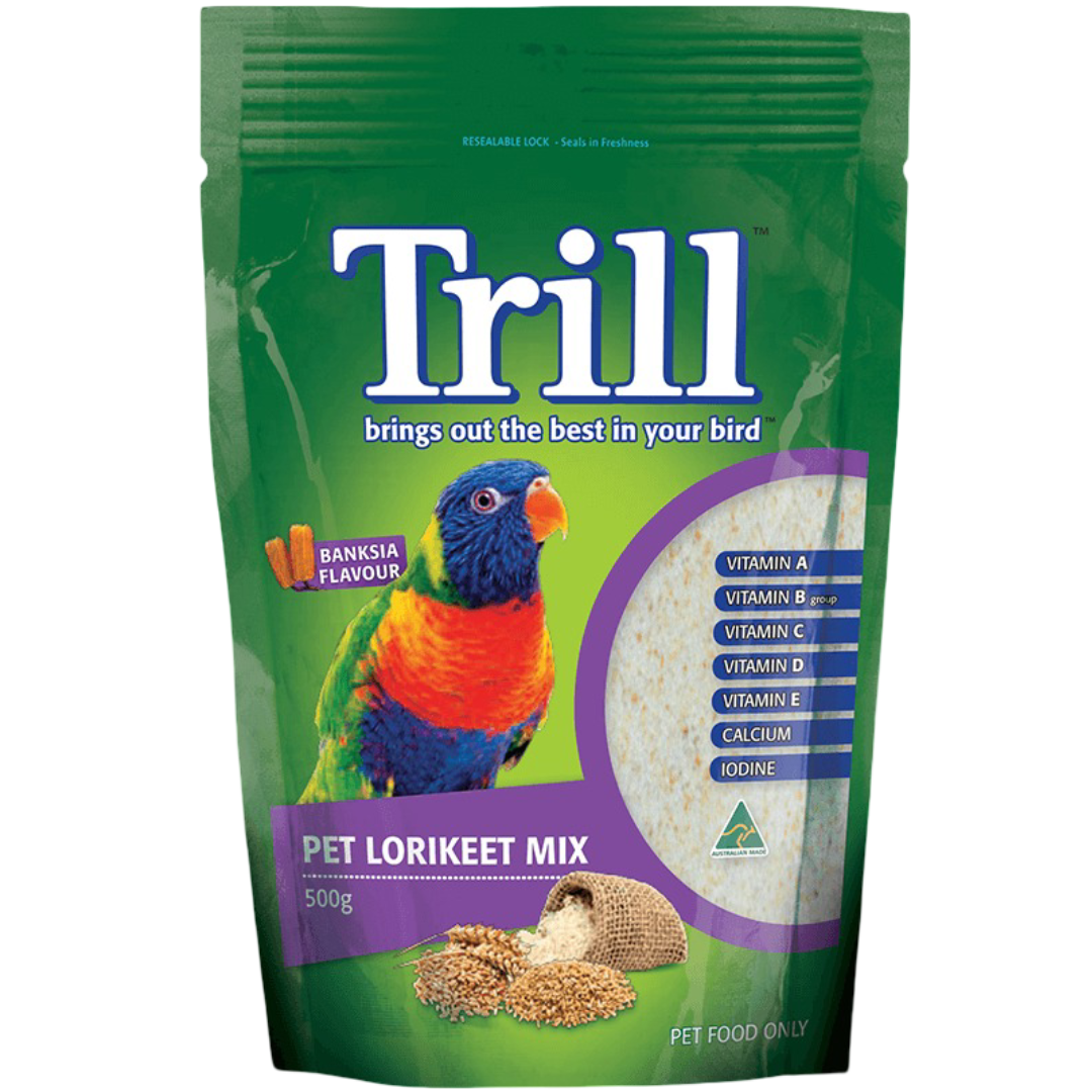 Pet Lorikeet Mix