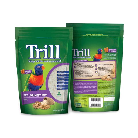 Pet Lorikeet Mix