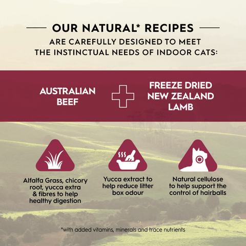 Adult Australian Beef And Freeze Dried Lamb Dry Cat Food