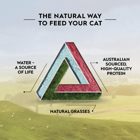 Adult Australian Beef And Freeze Dried Lamb Dry Cat Food