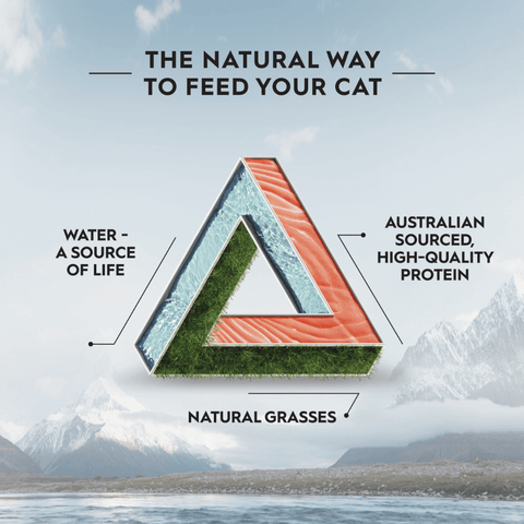 Adult Australian Salmon And Freeze Dried Lamb Dry Cat Food