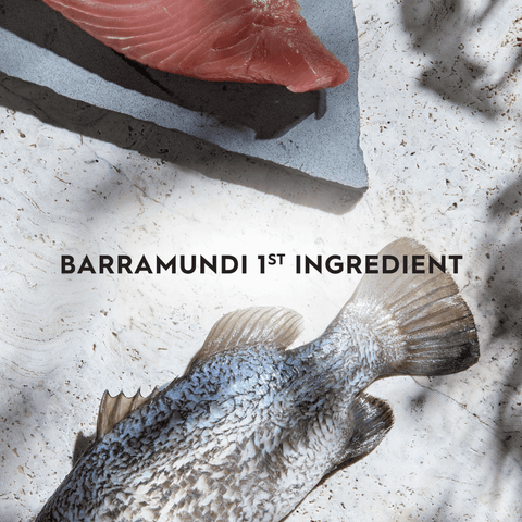 Barramundi Tuna And Freeze Dried Lamb Dry Kitten Food