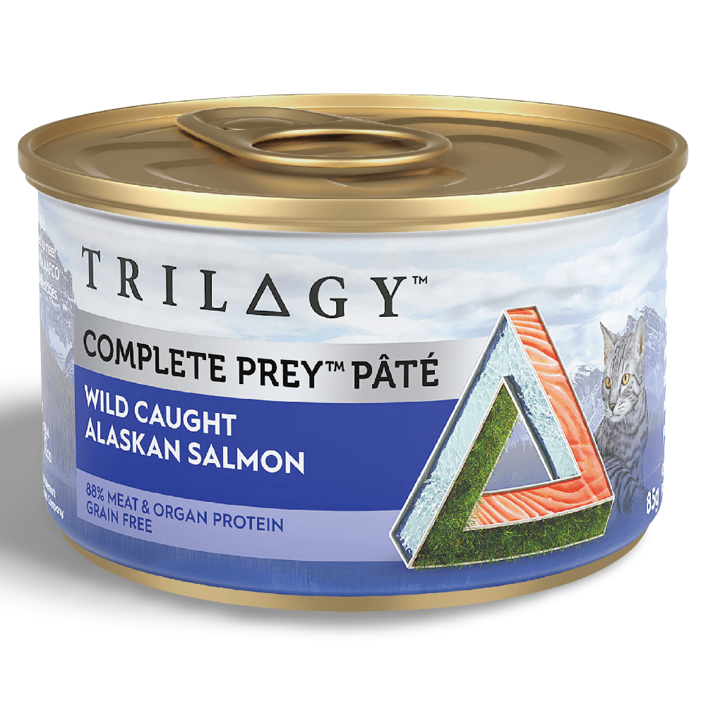 Complete Prey Wild Alaskan Salmon Pate Wet Cat Food