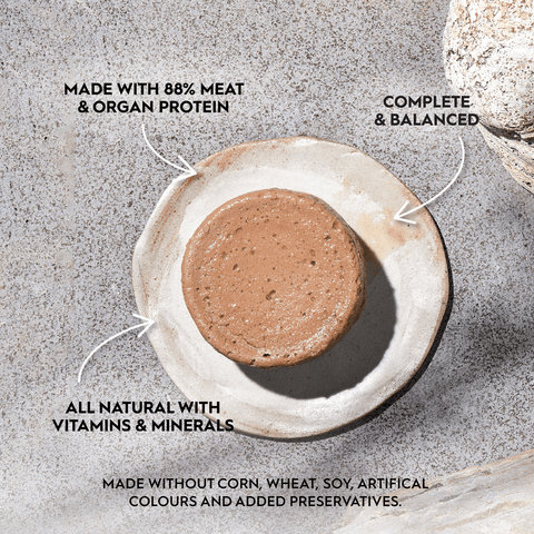 Complete Prey Wild Alaskan Salmon Pate Wet Cat Food