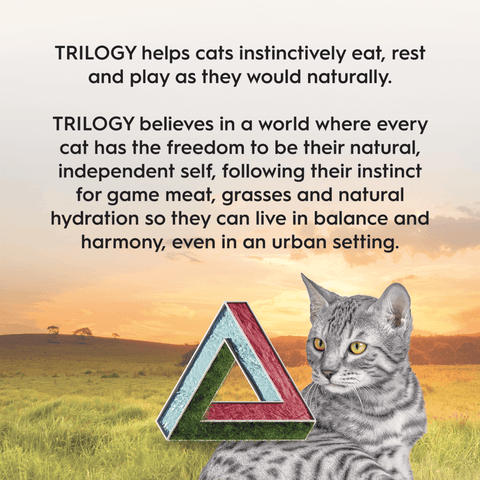 Kangaroo And Freeze Dried Lamb Dry Cat Food