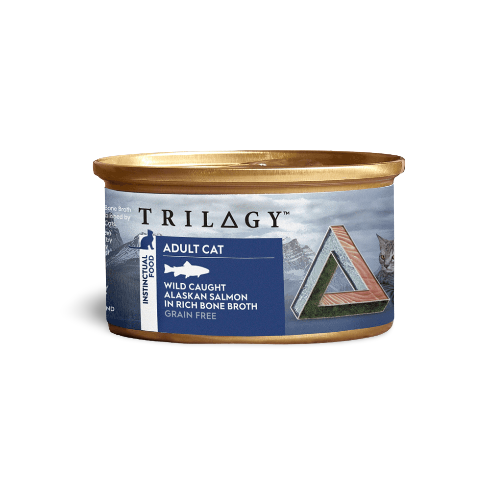 Wild Caught Alaskan Salmon In Bone Broth Wet Cat Food