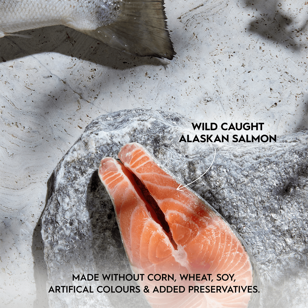 Wild Caught Alaskan Salmon In Bone Broth Wet Cat Food