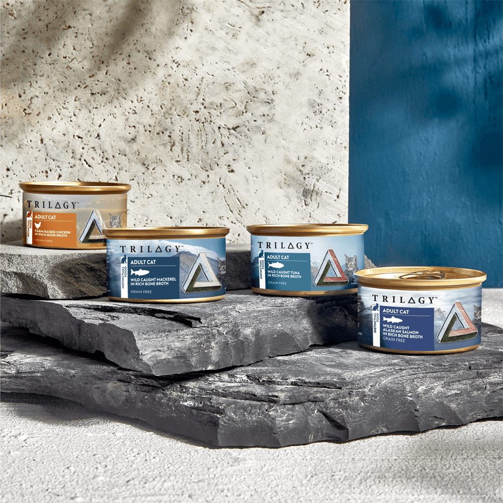 Wild Caught Tuna In Bone Broth Wet Cat Food