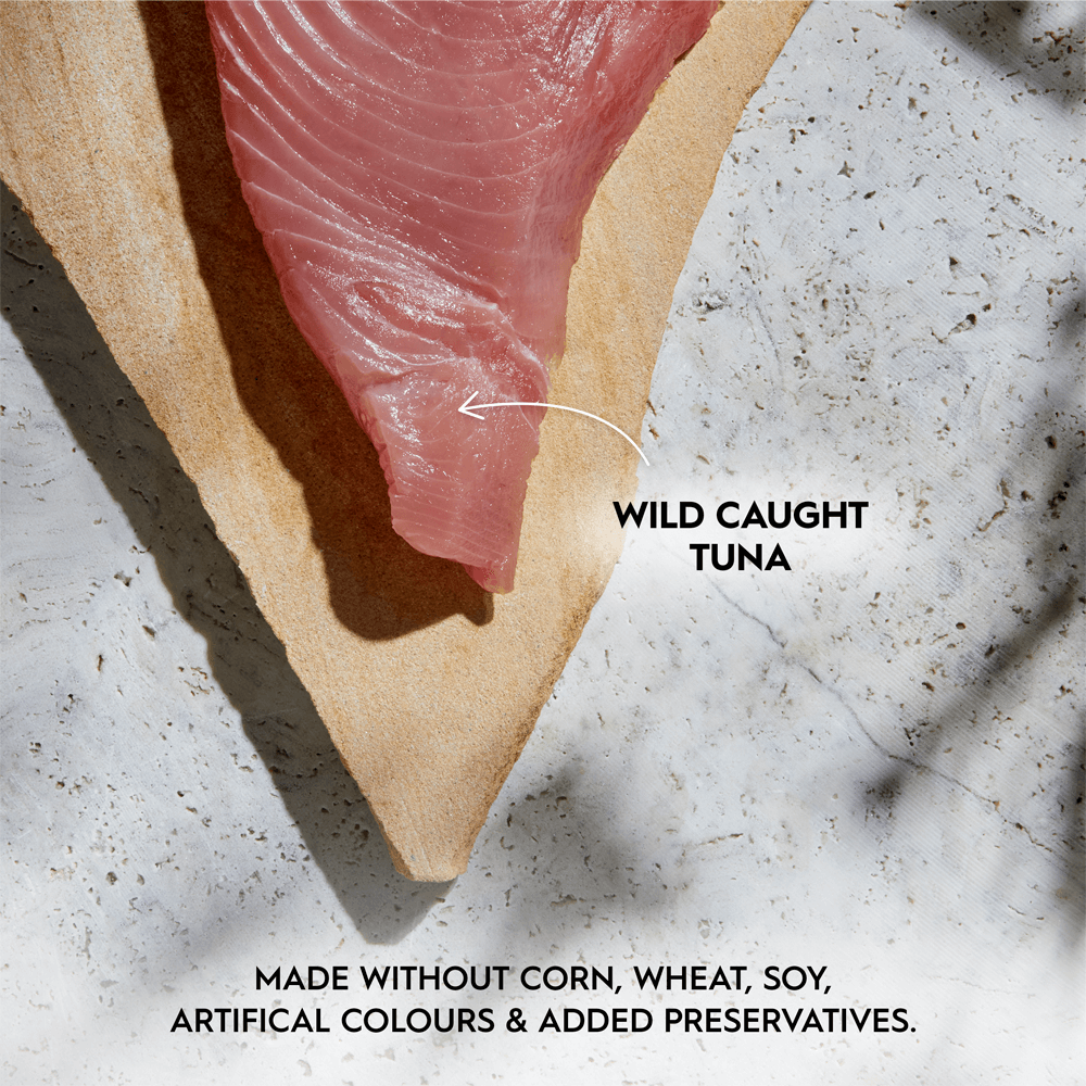 Wild Caught Tuna In Bone Broth Wet Kitten Food