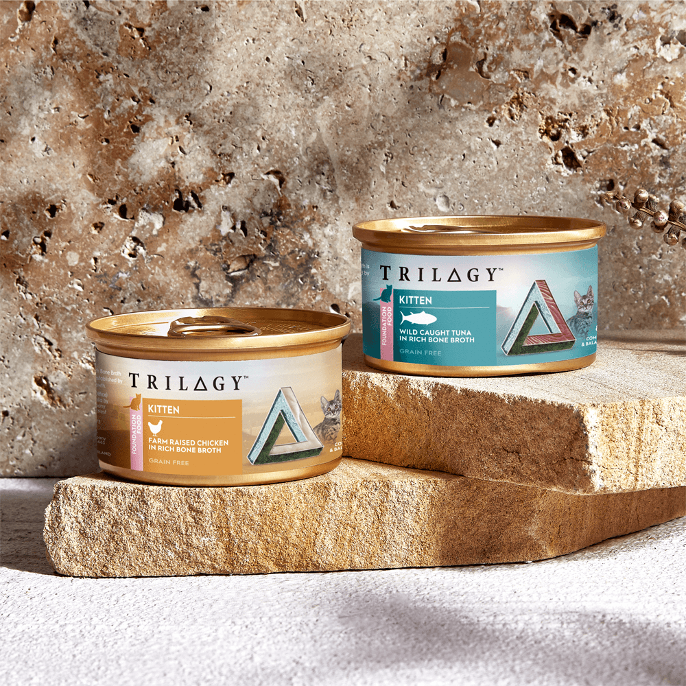 Wild Caught Tuna In Bone Broth Wet Kitten Food