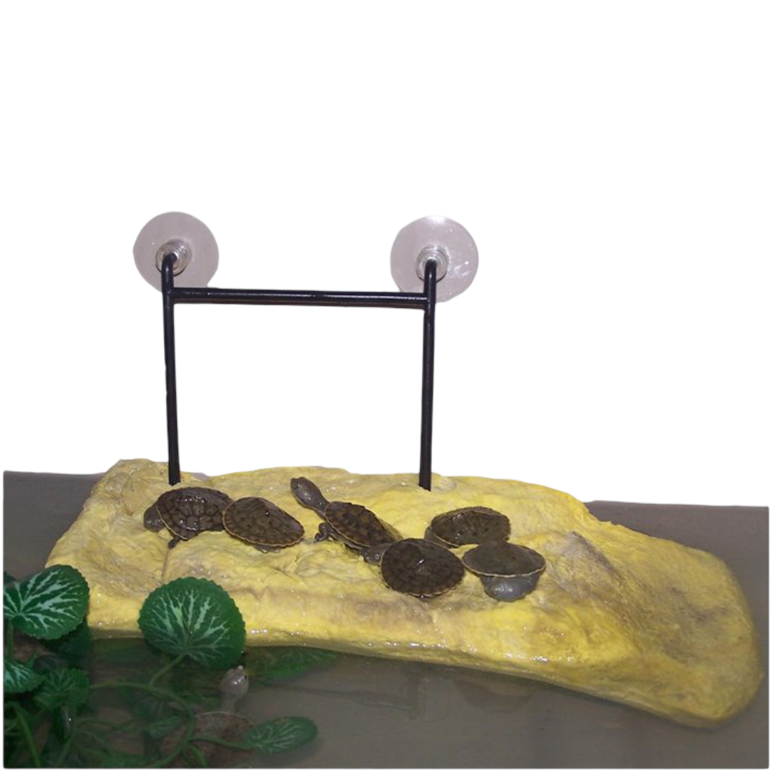 Pontoon Platform Floating Basking Area for Reptiles