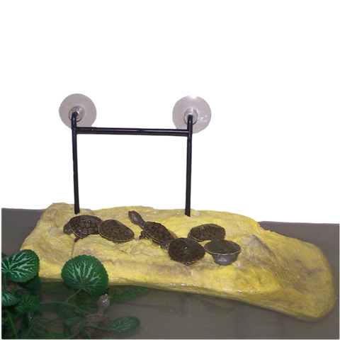 Pontoon Platform Floating Basking Area for Reptiles