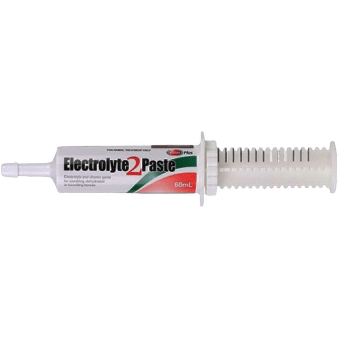 Electrolyte 2 Paste