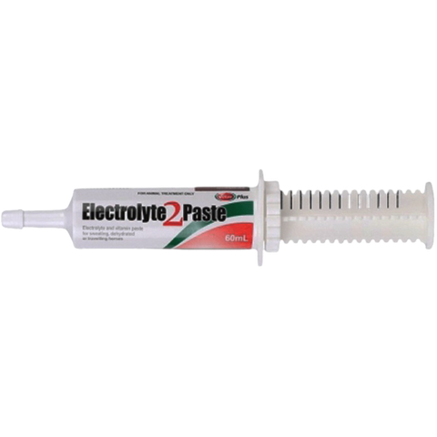 Electrolyte 2 Paste