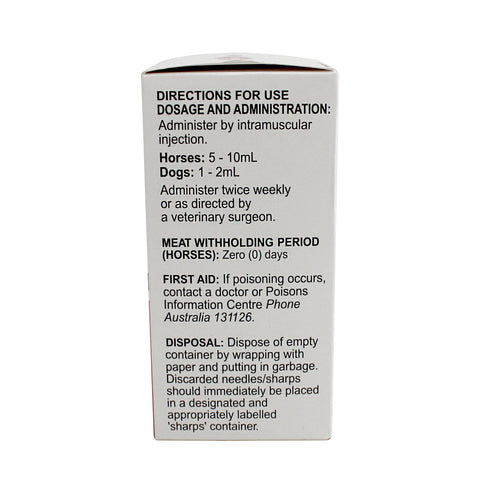 Value Plus Vitamin B1 Injection 100ml