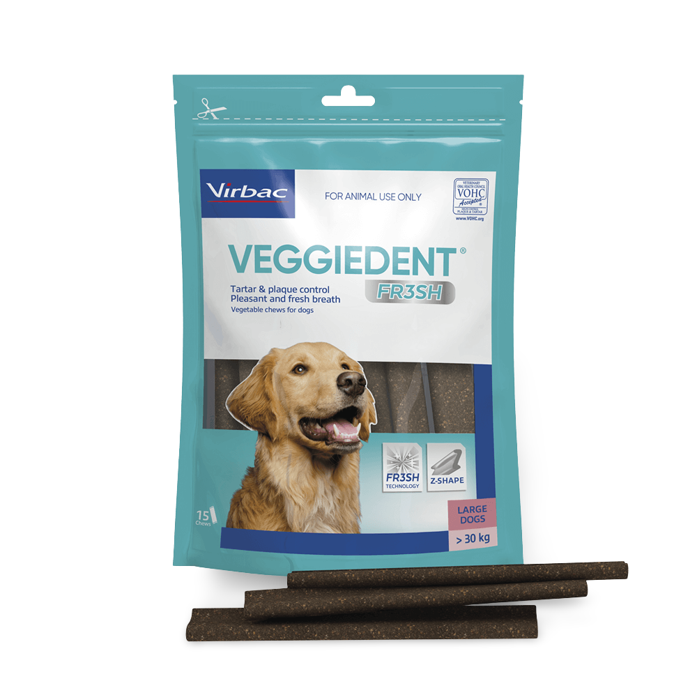 Large Dog Dental Treats