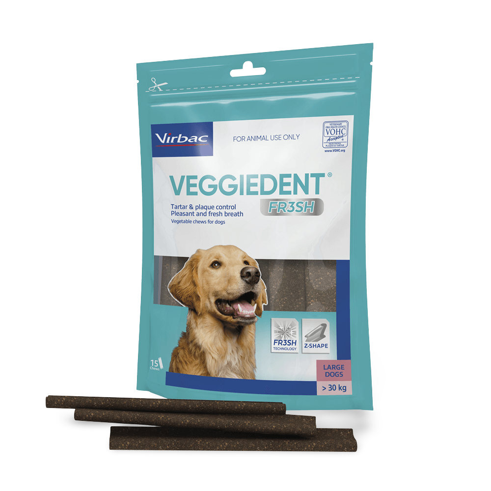 Large Dog Dental Treats