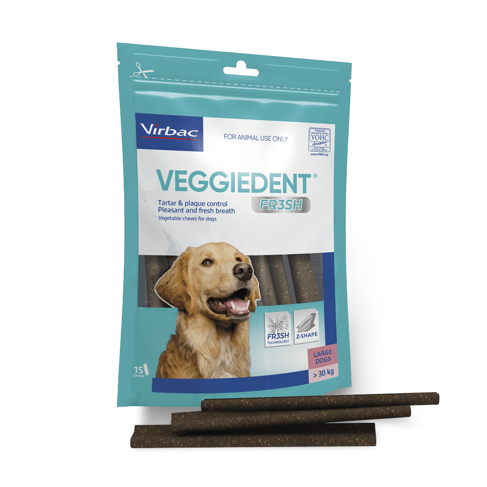 Large Dog Dental Treats