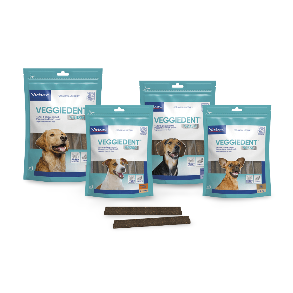 Medium Dog Dental Treats