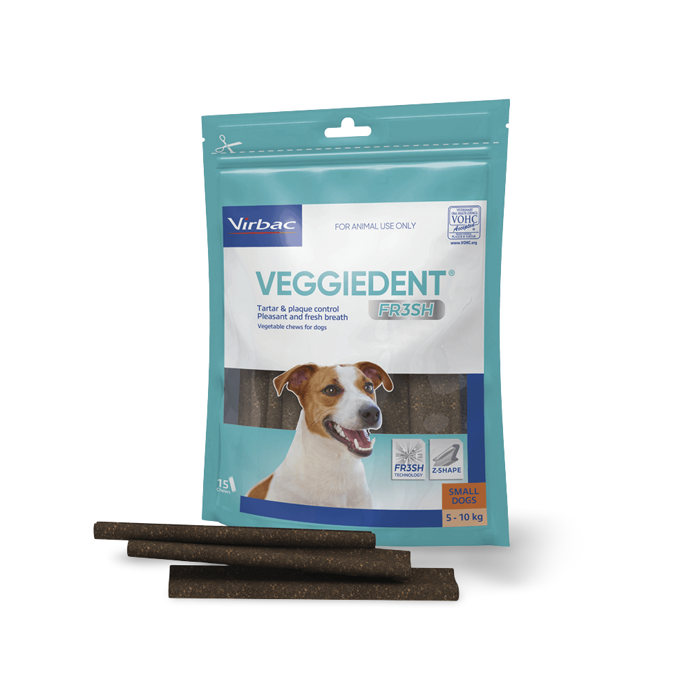 Small Dog Dental Treats