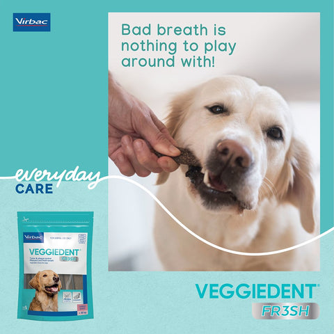 Small Dog Dental Treats