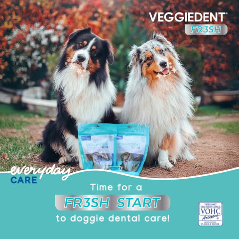 Extra Small Dog Dental Treats