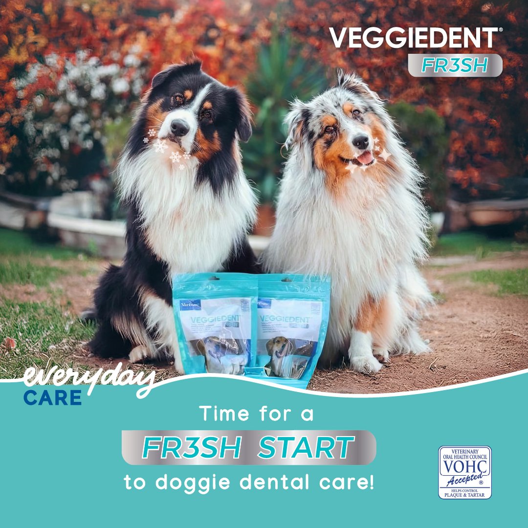 Small Dog Dental Treats