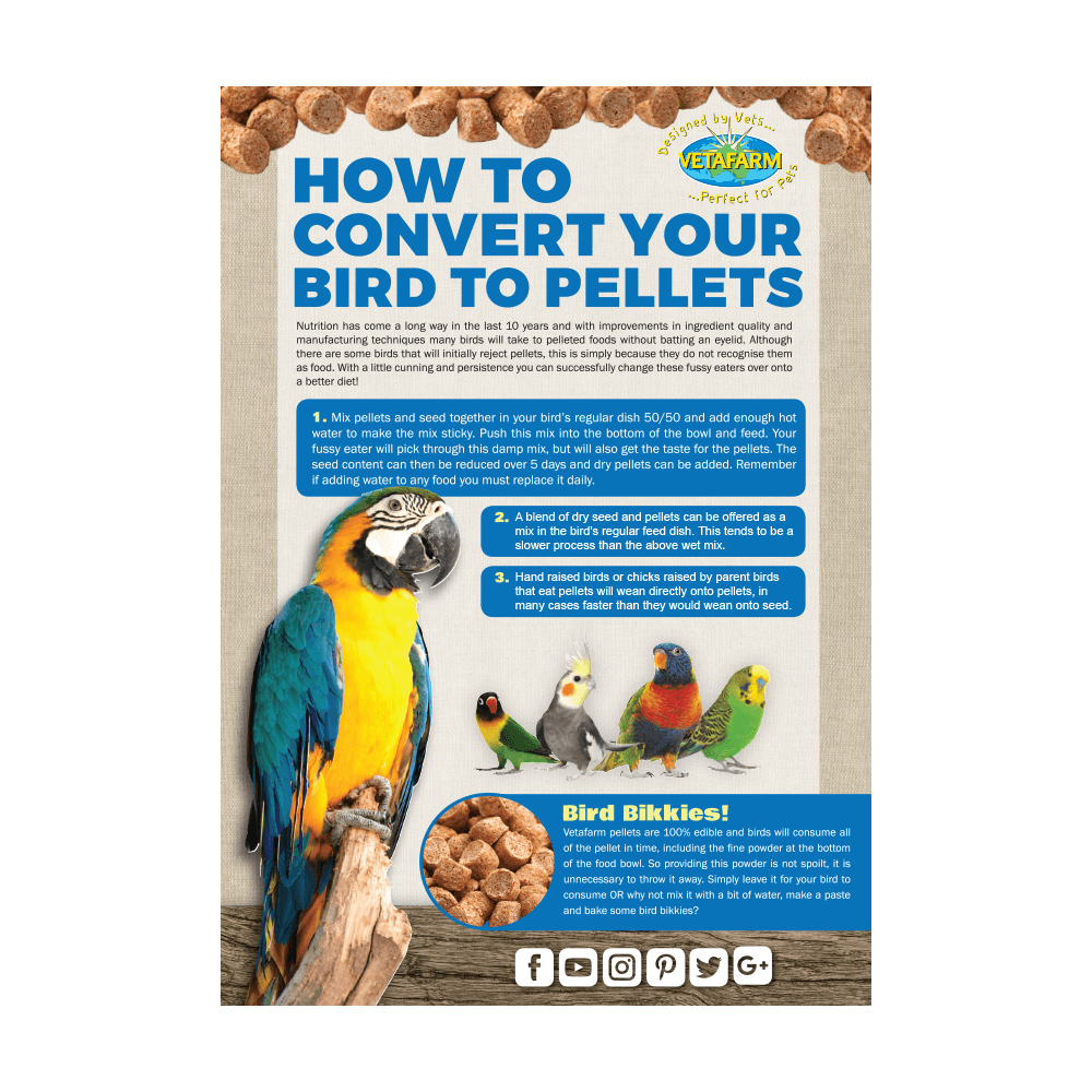 Nutriblend Complete Diet Mini Pellets for Parrots