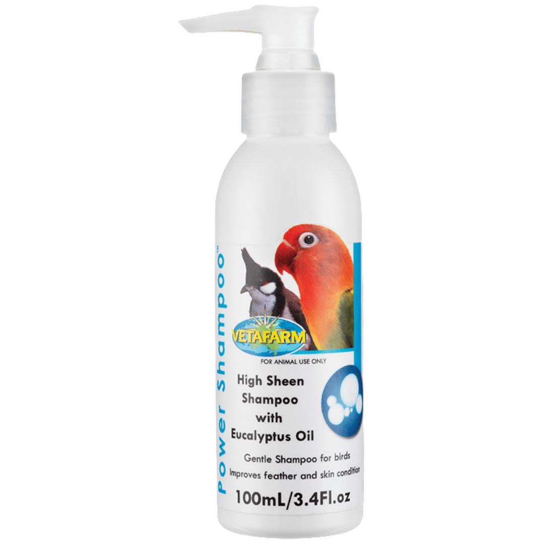 Bird Power Shampoo