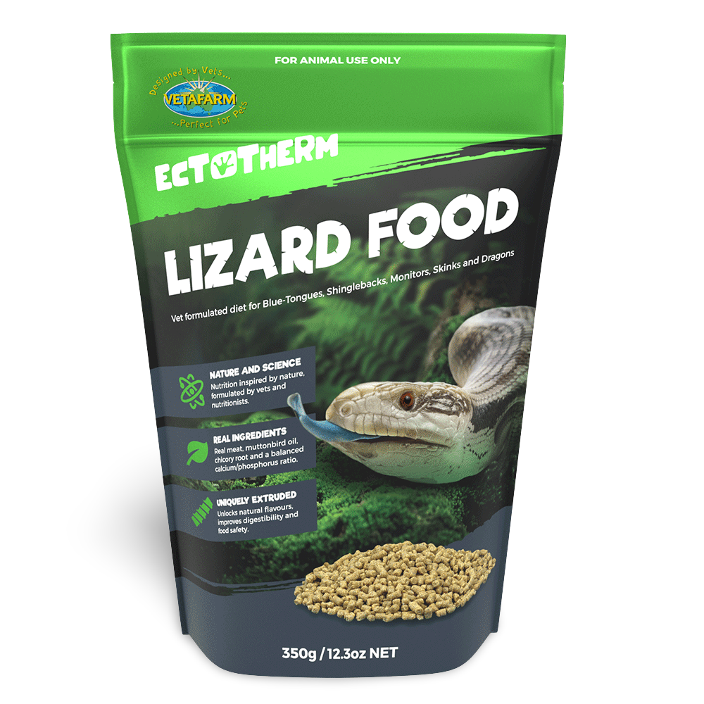Ectotherm Lizard Food
