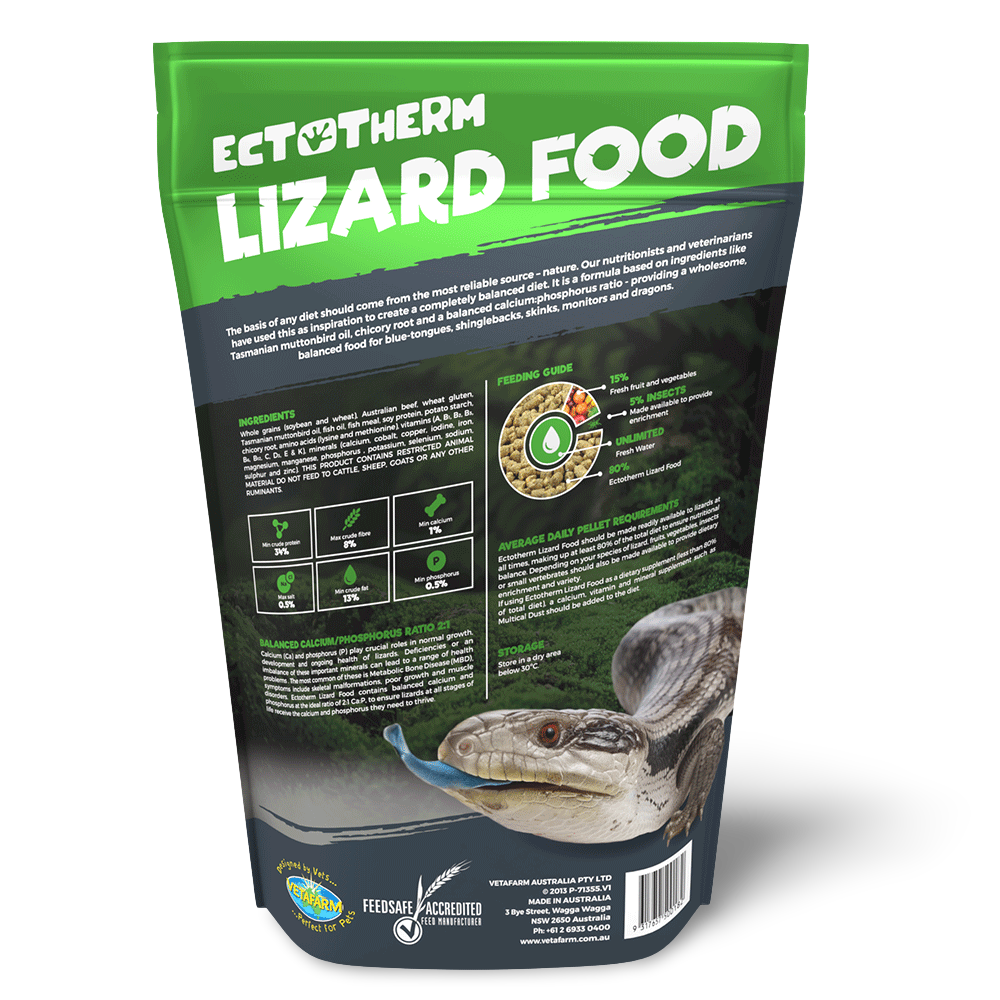 Ectotherm Lizard Food