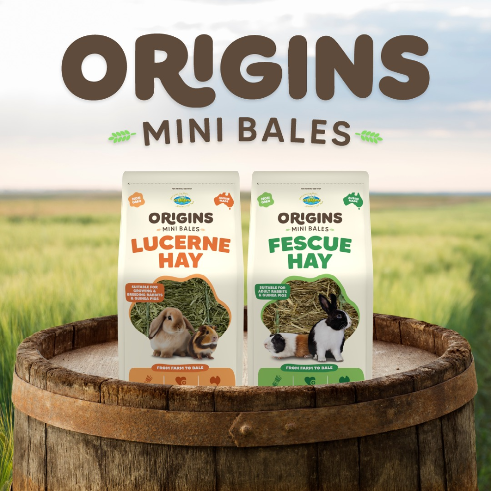 Origins Mini Bale Lucerne Hay for Young Small Pets
