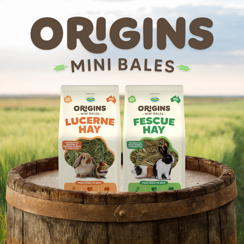 Origins Mini Bale Lucerne Hay for Young Small Pets