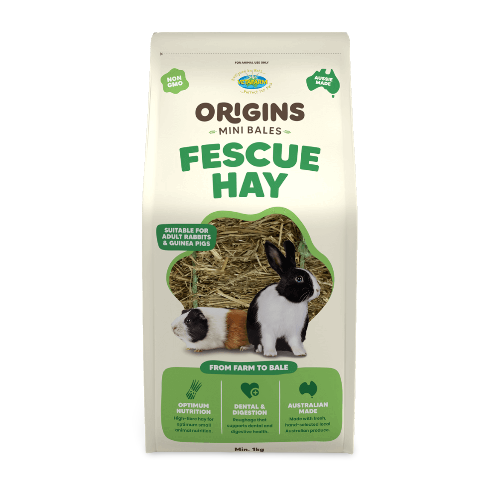 Origins Mini Bale Fescue Hay for Small Pets
