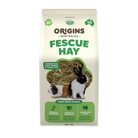 Origins Mini Bale Fescue Hay for Small Pets