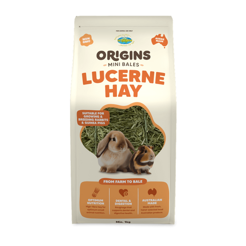 Origins Mini Bale Lucerne Hay for Young Small Pets