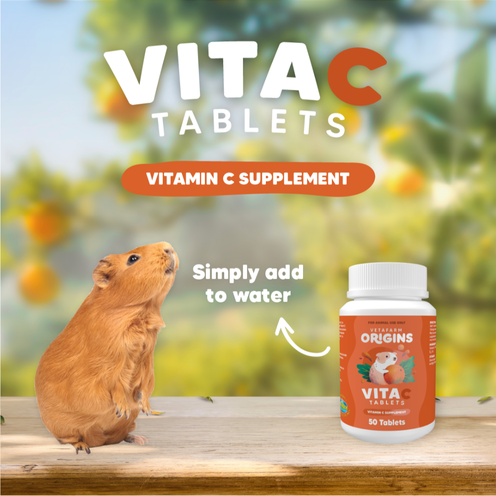 Origins Vita C Vitamin Supplement Tablets for Guinea Pigs