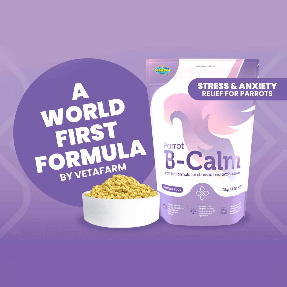 Parrot B Calm Bird Pellets
